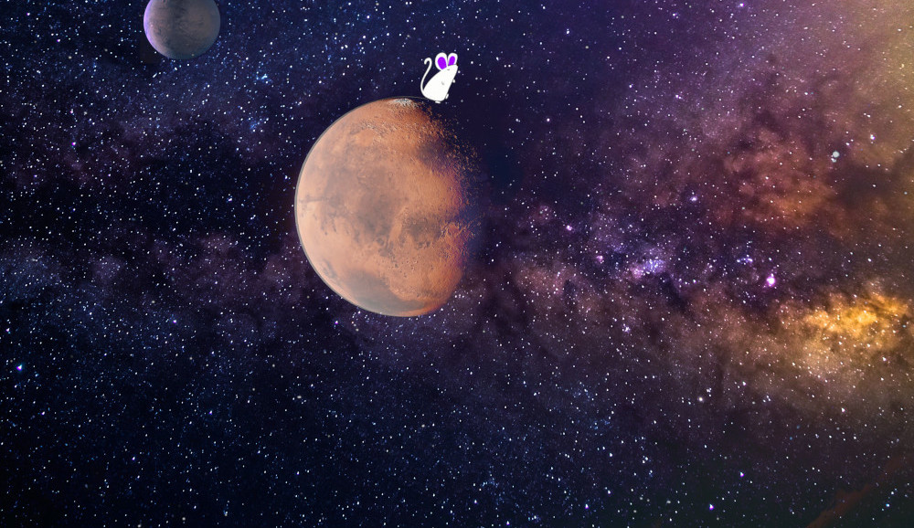 L'univers de noémissouri, des planètes et milliards d'étoiles